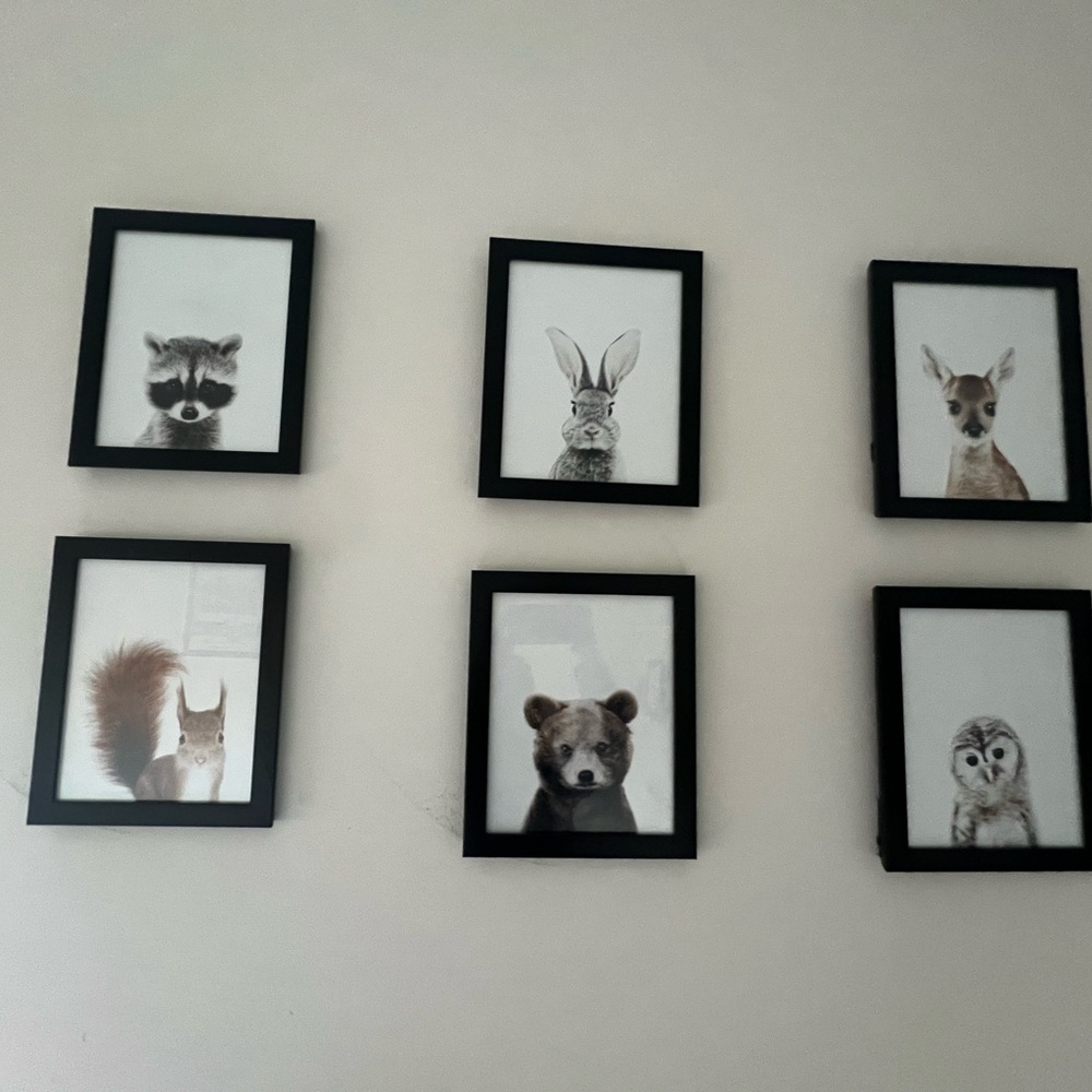 NURSERY DECOR - Set of 6 Framed Baby Animal Prints